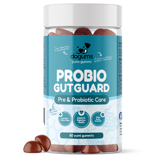 Pre & Probiotic Care
